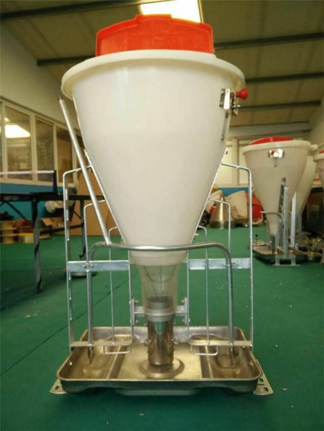 Used Pig Feed Equipment Pig Automatic Feeder for Sale