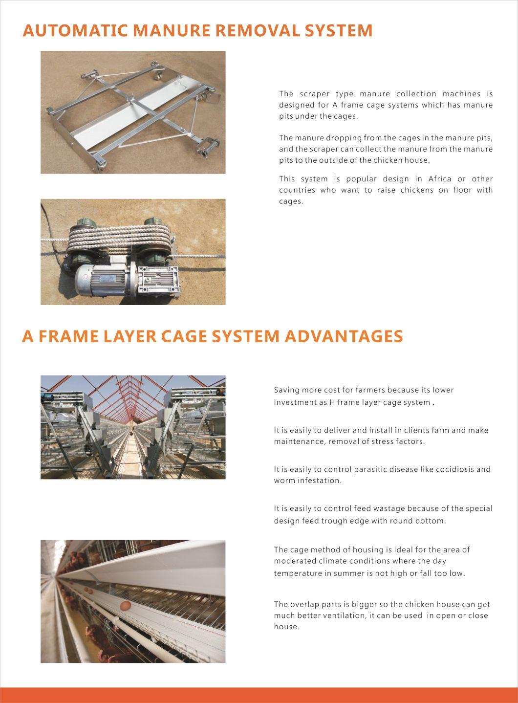 H Type Layer Cage Raising Equipment for 60000 Birds Layer Project