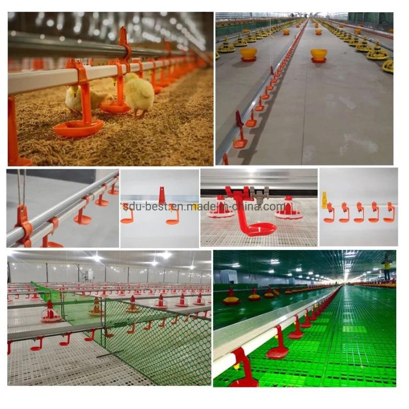 Broiler Farming Equipment Automatic Poultry Feeding Line System for Broiler Farm