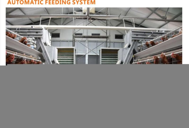 Battery Chicken Cage with Poultry Farming Equipment
