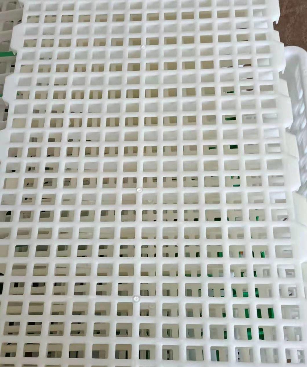 Poultry Equipment Floor for Chicken House