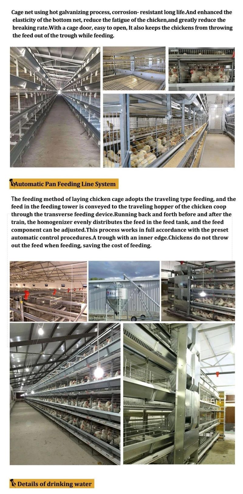 Fully Automatic Poultry Farm Chicken Feeder and Drinking System Chicken House Equipment