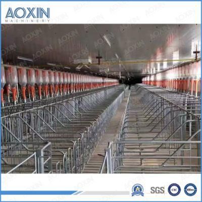 Automatic Feeding System for Modern Pig Farm Intensive Culture Model