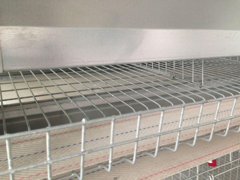 2022 Chicken Cages for Africa Poultry House Layer Chicken Design