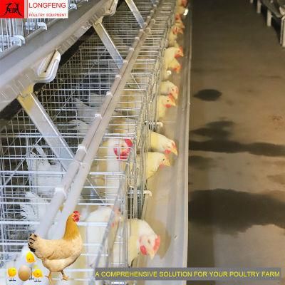 New Local After-Sale Service in Asia a Type Poultry Farm Cage