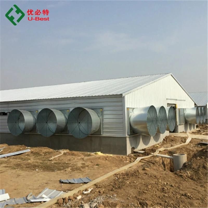 Poultry Equipment Conveyor for Poultry Farm Manure Conveyor Belts Cages