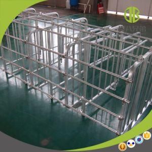 Hot DIP Galvanized Pig Gestation Stall Pig Stall