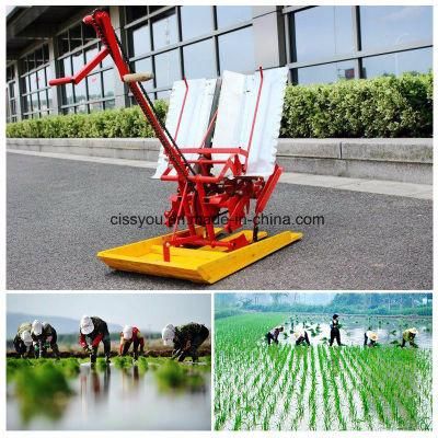 Rice Paddy Transplanter Tractor Riding Rice Seeder Planting Machine
