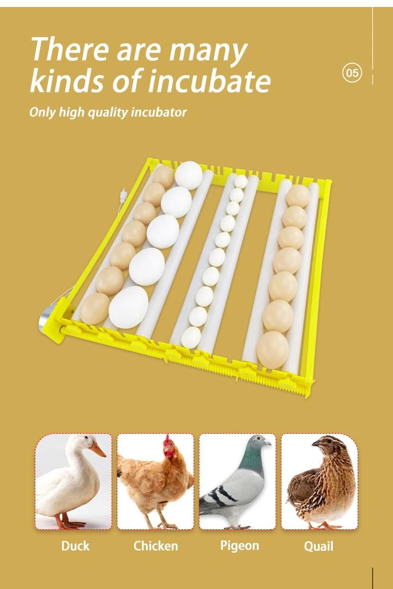 Egg Incubator Egg Hatching Machine/Industry Large Chicken Egg Incubator