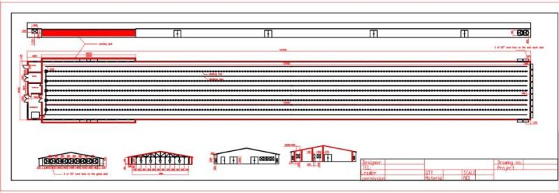 Turnkey Project for Poultry Farm Design with Prefab House Material and Automatic Chicken Farm Equipment