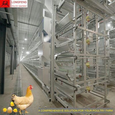 Hot Sale China Automatic Chicken Cage Farming Longfeng Egg Equipment Poultry Farm