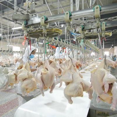 1000bph Halal Chicken Slaughtering Equipment Line