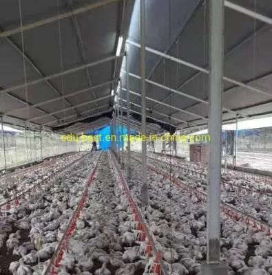 Prefab Steel Structure Tunnel Vent Chicken Broiler Poultry House Shed