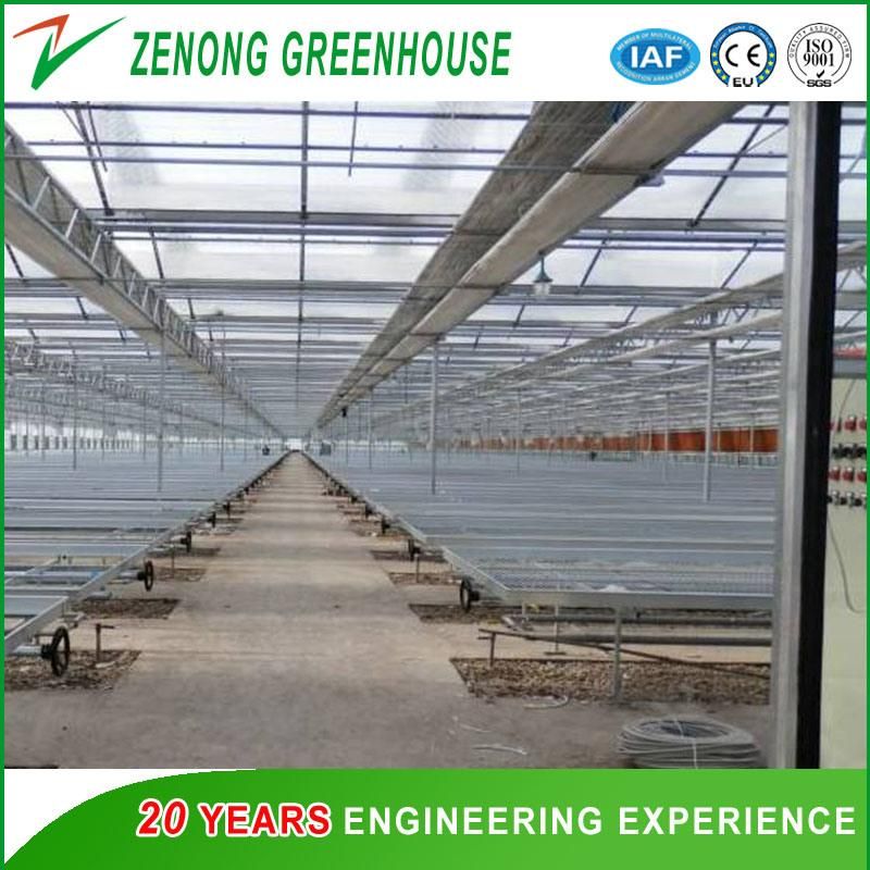 Greenhouse Rolling Bench for Seeding Nursery