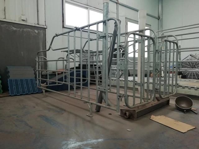 Piggery Equipment Galvanized Pig Farm House Design