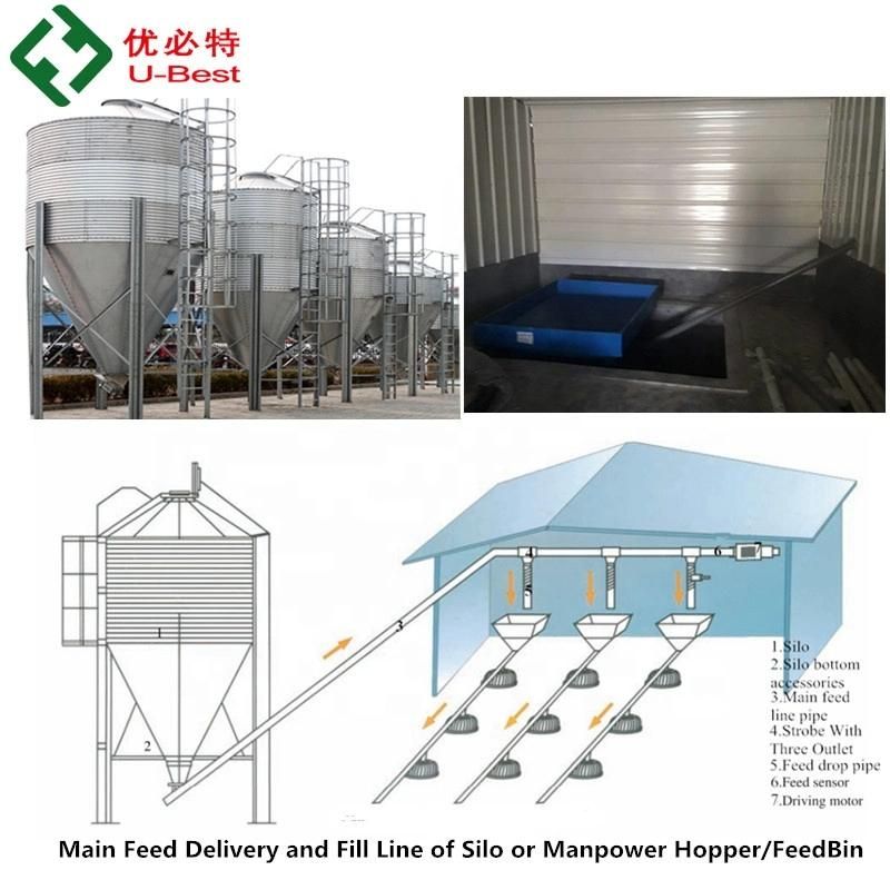 Automatic Modern Chicken House Farm Equipment System and Broiler/Breeder/Bird Pan Feeding System