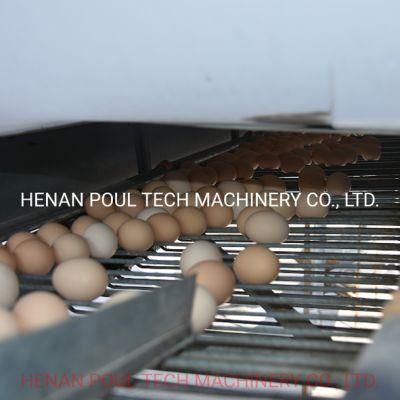 Multipurpose Type a and Type H Chicken Cage Poultry Raising Equipment
