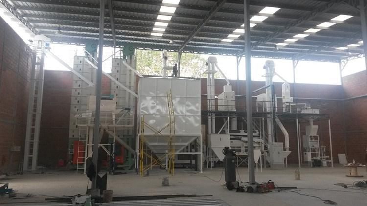 Millet Seed Cleaning Plant / Sorghum Seed Processing Plant