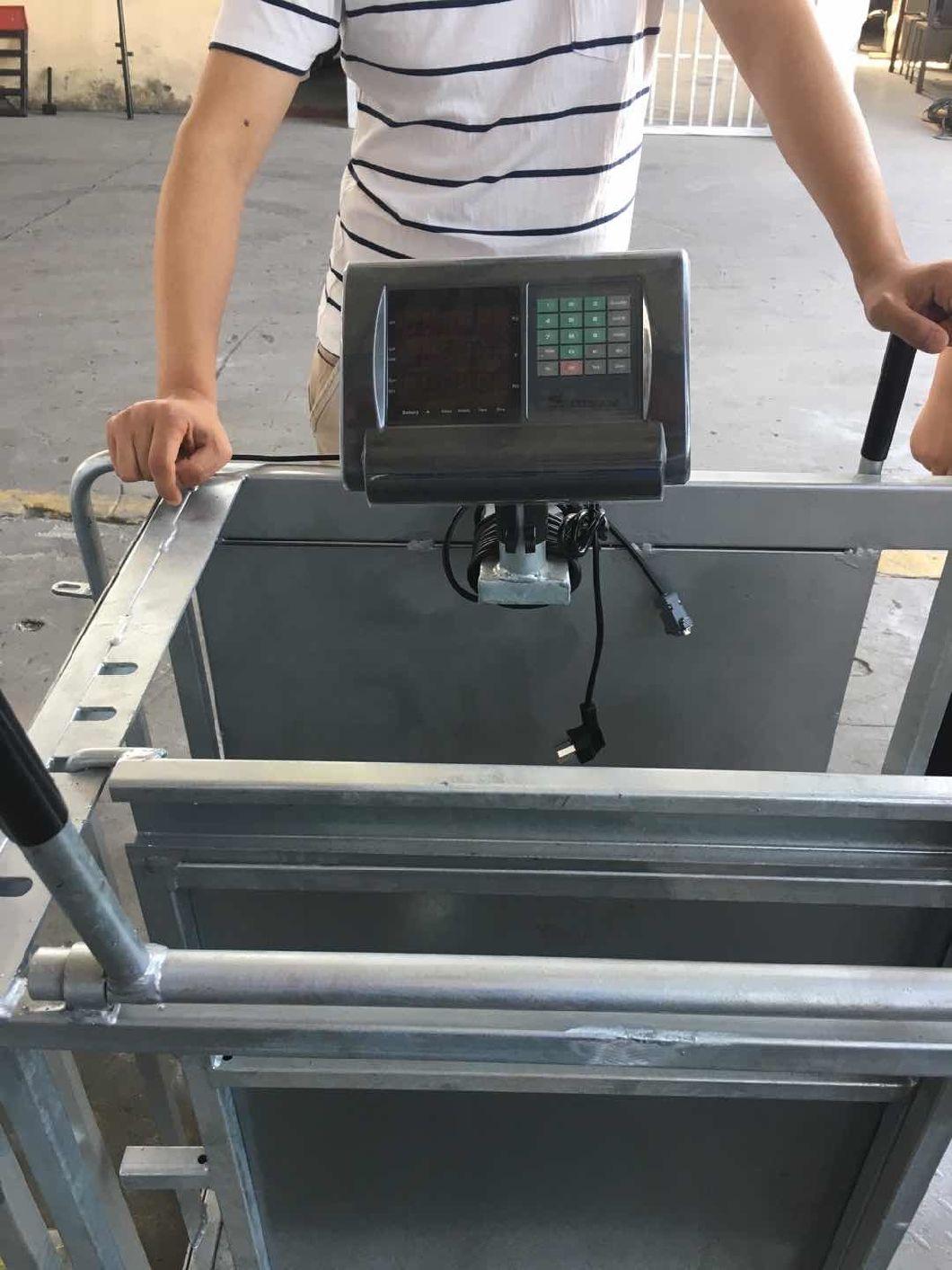 Sheep Weighing Equipment of Hlt