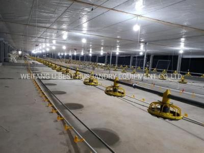 Plastic Slat Leakage Slat Poultry Farm Equipment Plastic Leakage Dung Floor Ground Poultry Equipment for Chicken House