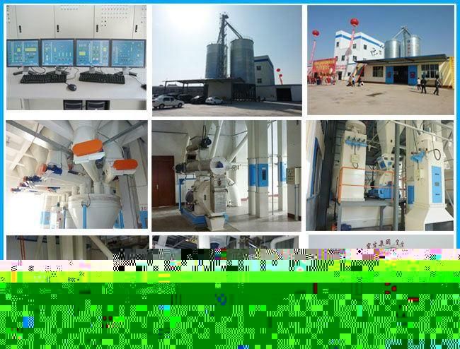 Water Drop Crusher Coconut Shell Powder Making Machine