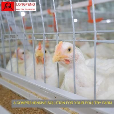 on-Site Installation Instruction Local After-Sale Service in Asia Poultry Feeding Equipment