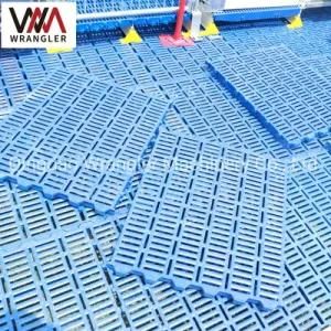 Poultry Farms Sheep Slats Plastic Goat Flooring/Pig Slat Floor/Sheep Slat Floor