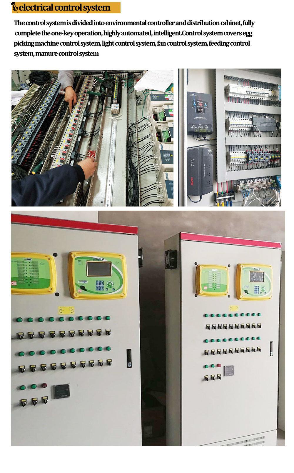 Full Automatic Technical Low Cost Steel Chicken Farm Equipment