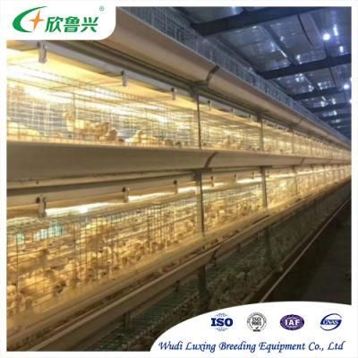 3 Tiers 4 Tiers Modern Design Poultry Farm Shed Automatic Chicken Broilers Cage System