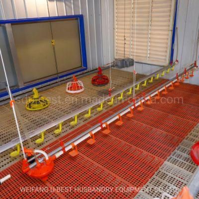 U-Best Factory Mechanized Poultry Farming for Chicken Broiler Breeder