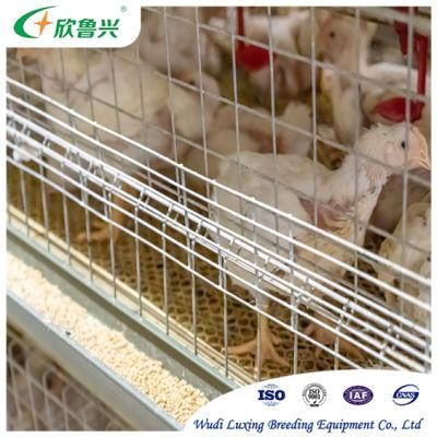 H Type Automatic Battery Day Old Layer Chicken Cages Poultry Breeding Equipment