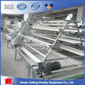 Chiken Farm Equipment with Hot Galvanized Layer Chicken Cage