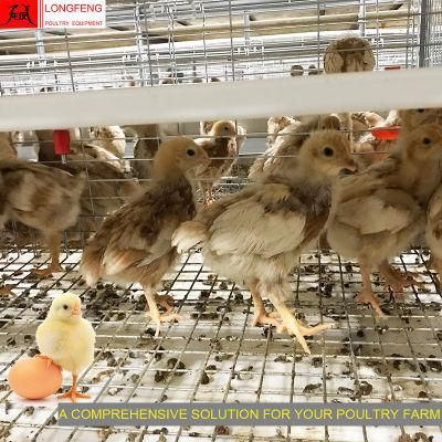 High Quality Computerized Electric Adapted to All Climatic Conditions New Chicken House