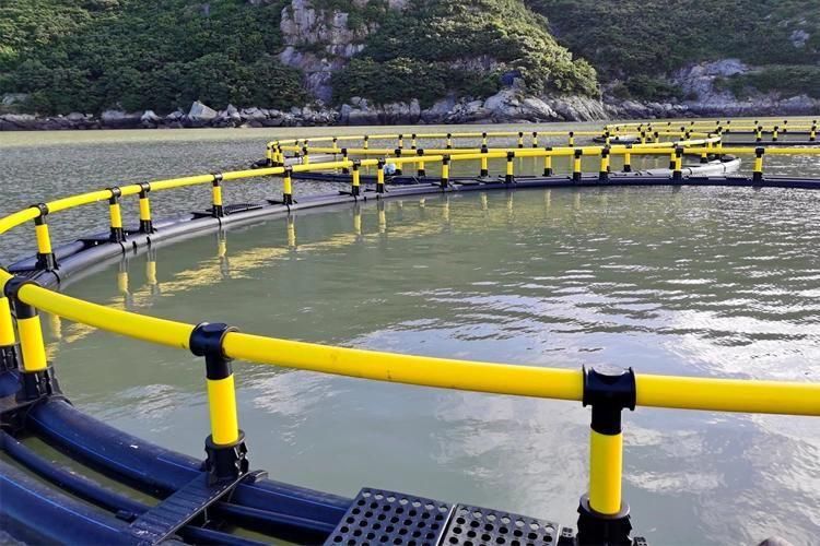 Aquaculture Fish Farming Cages Round Cage Submersible Cage HDPE Floating Fish Cages with Double or Triple Pipes