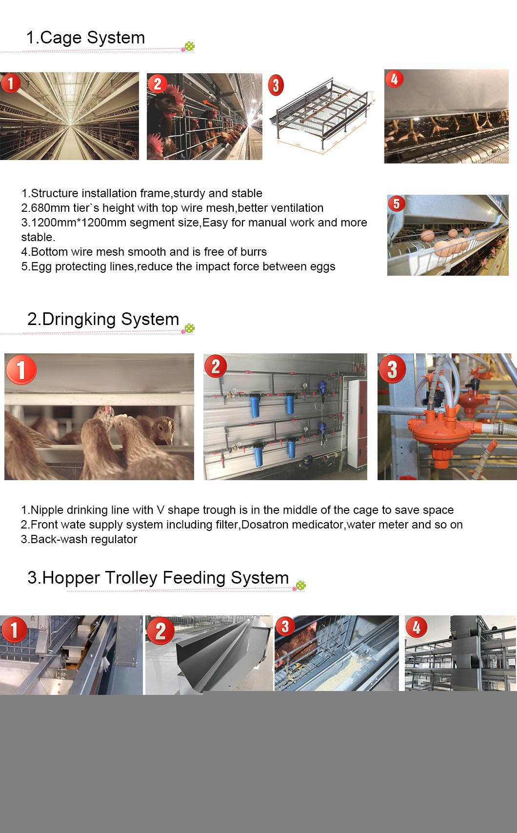 Longfeng Automatic H Type Layer Egg Chicken Cage System for Poultry Farm Equipment in Chicken Coop