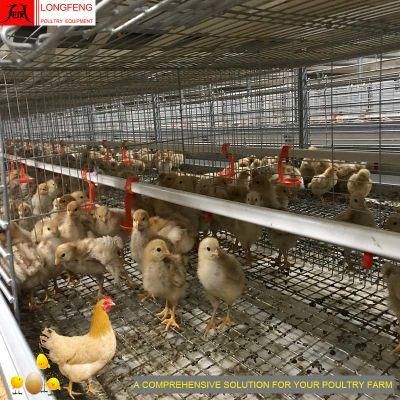 Large Scale Poultry Stable Running Good Service Professional Layer Cage with High Density