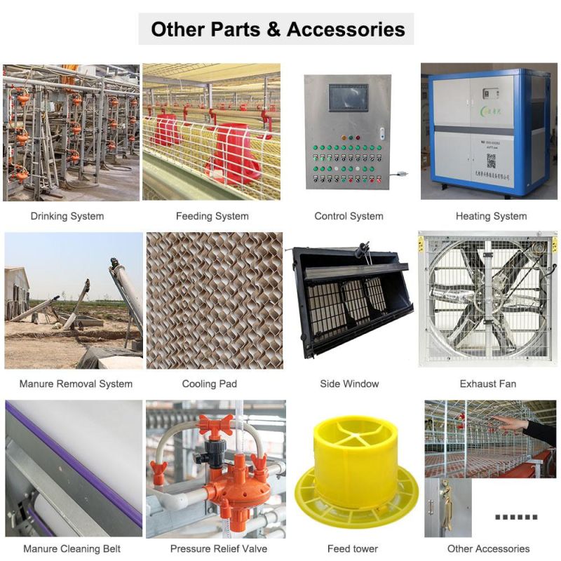 Battery Chicken Cage System Mechanized Integrated Layered Chicken Raising Equipment