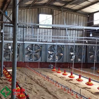 Complete Automatic Controlled Machinery Poultry Shed Farm Equipment for Chicken Broiler House