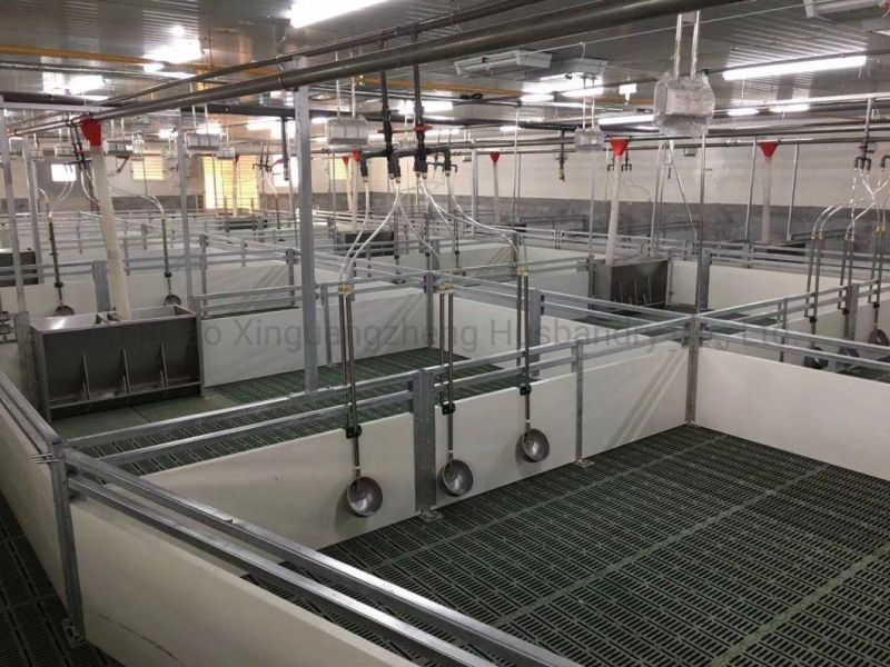 Self-Designed Finished Pig Pen and Spare Pig Pen