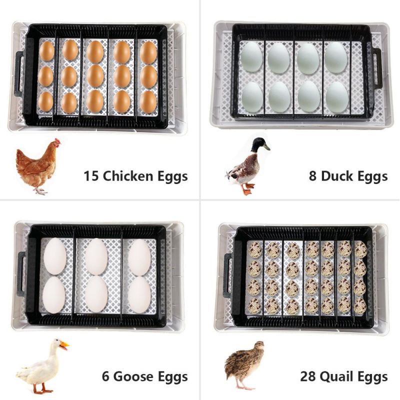 Full Automatic Mini Poultry Chicken/Duck/Pigeons Hatching Machine Incubadoras Turner Motor Egg Incubator for Sale