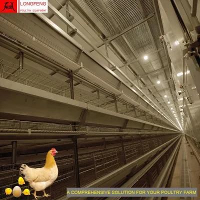 Local After-Sale Service in Asia Egg Chicken Cage Poultry Farm Cages