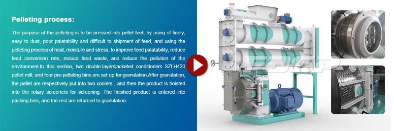 Factory Price Professional Triple Set 20 T/H Normal Fish Feed Production Line