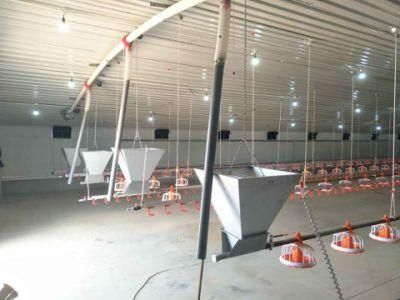 Poultry Farm Equipment Broilers Automatic Feeding Line and Drinking Line