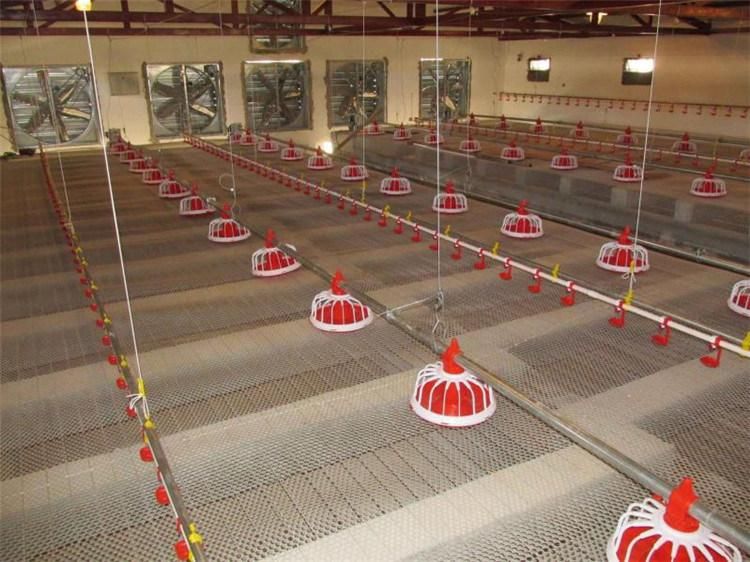 Pig Poultry Farm Diesel Temperature Heater Temperature Control Machine