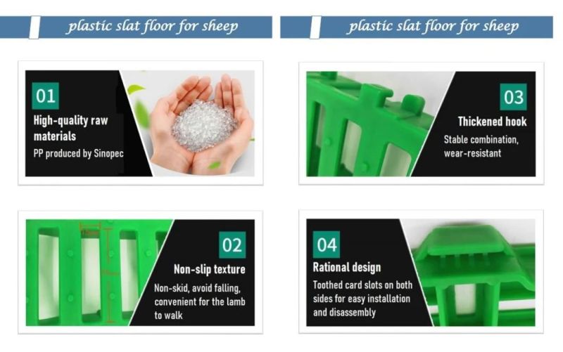 Plastic Flooring Sheep Farming Equipment