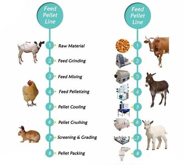 Cattle Chicken Pig Feed Manufacturing Machinery Poultry Feed Production Line Livestock Feed Plant