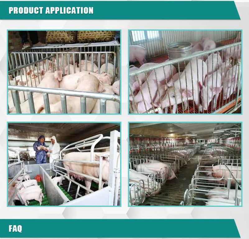 Factory Direct Sales Pig Farm Hot DIP Zinc Cage Breeding Pregnant Sow Cage Pen