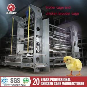 Full Automatic Farm Poultry Equipment for Zimbabwe Farm (A-3L120)