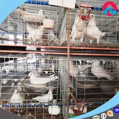 Automatic Feeding Drinking Dove/Pigeon Cage Pigeon Equipment