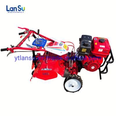Gasoline Mini Power Tiller Cultivator China Best Sale